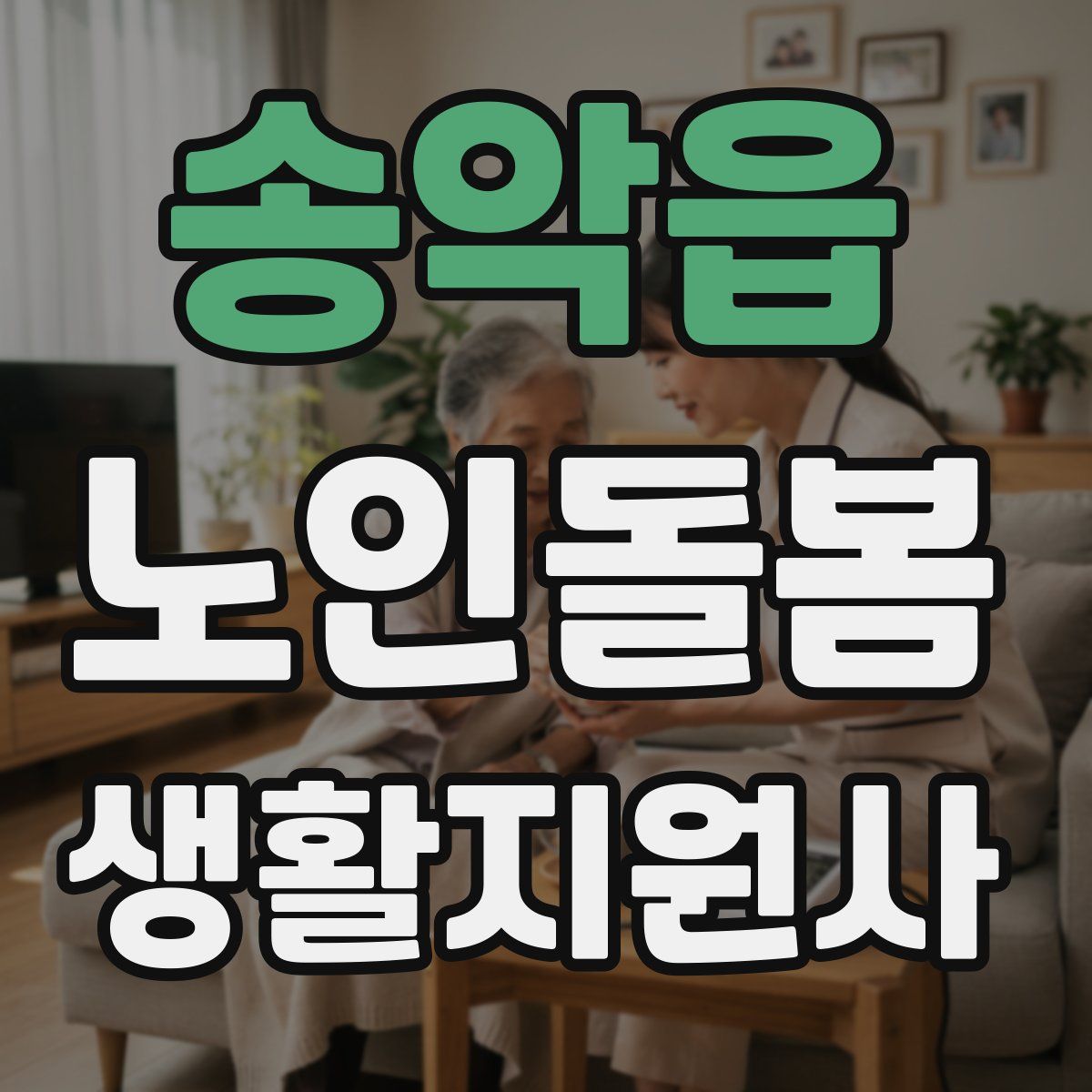 송악읍 노인돌봄생활지원사 자격증