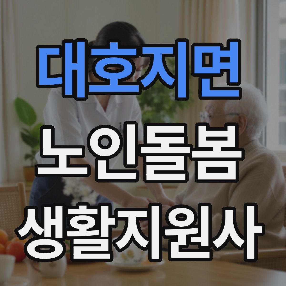 대호지면 노인돌봄생활지원사 자격증