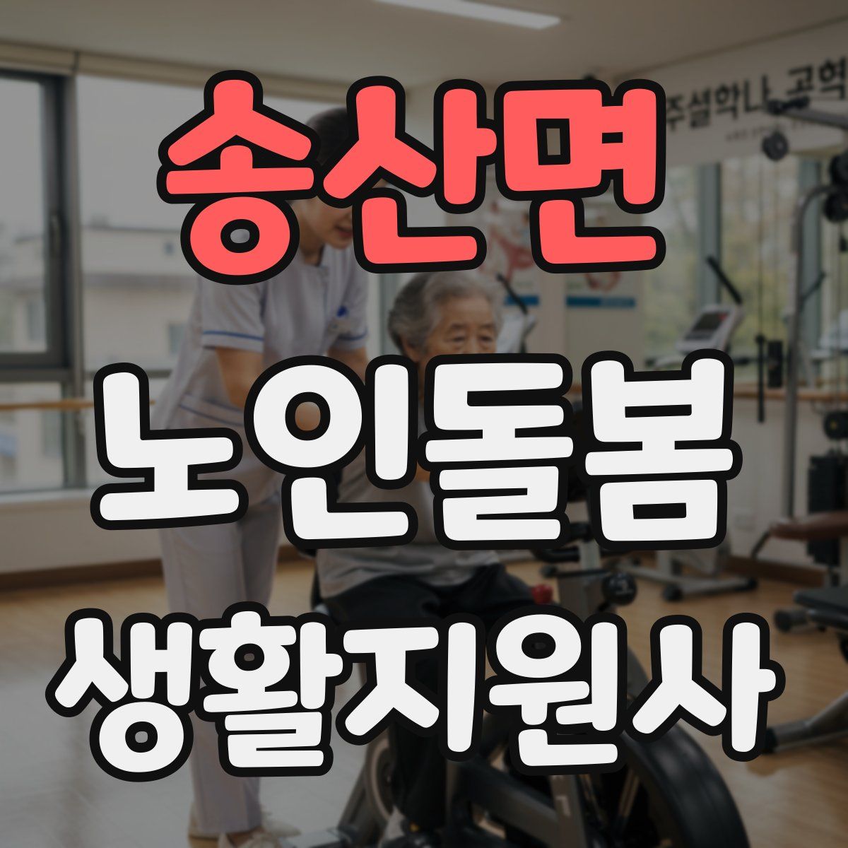 송산면 노인돌봄생활지원사 자격증