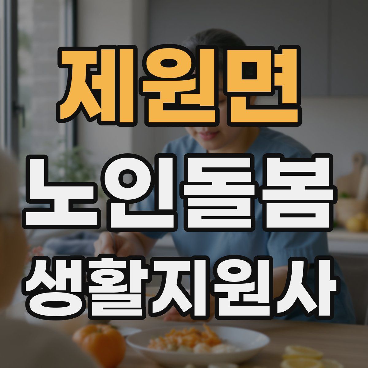 제원면 노인돌봄생활지원사 자격증