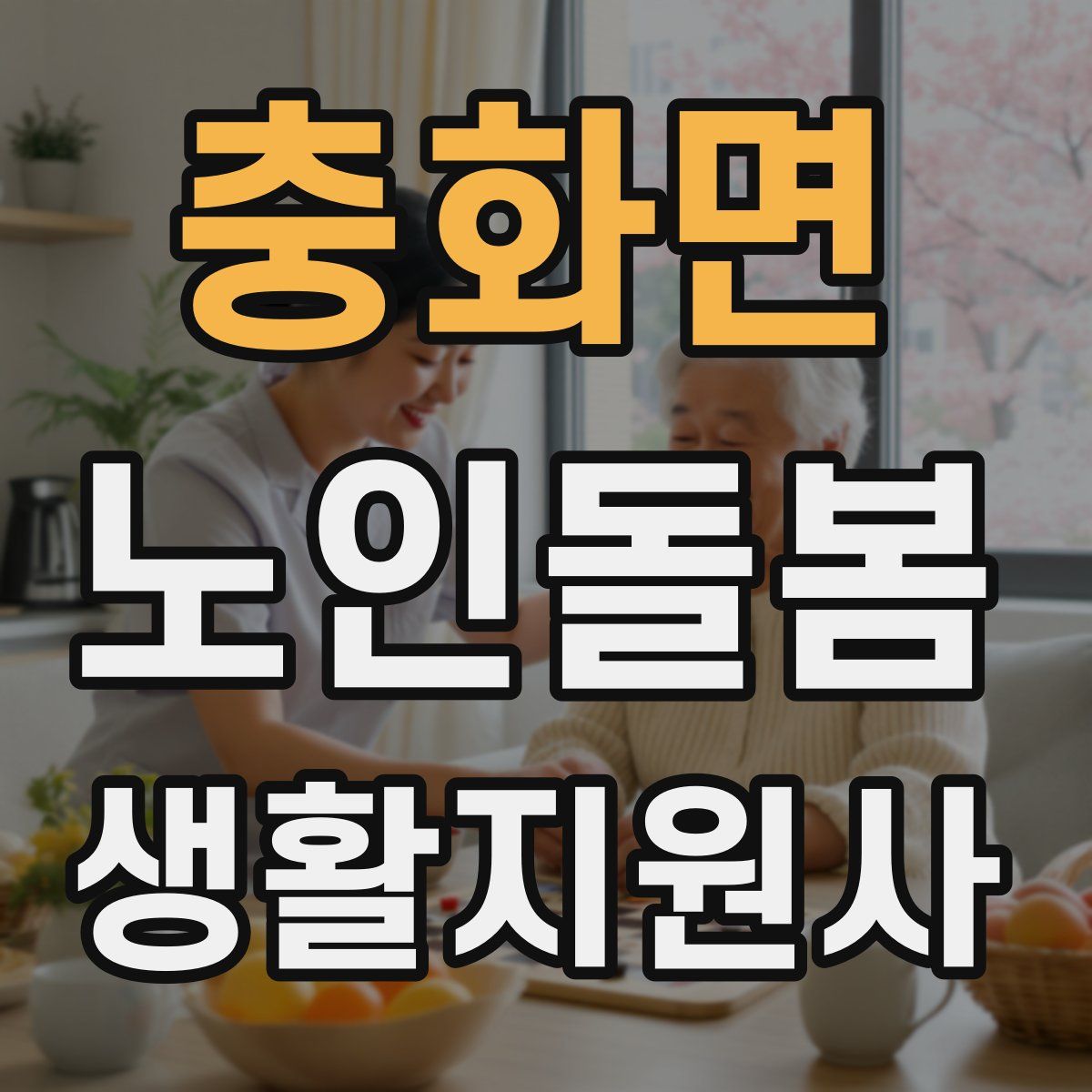충화면 노인돌봄생활지원사 자격증