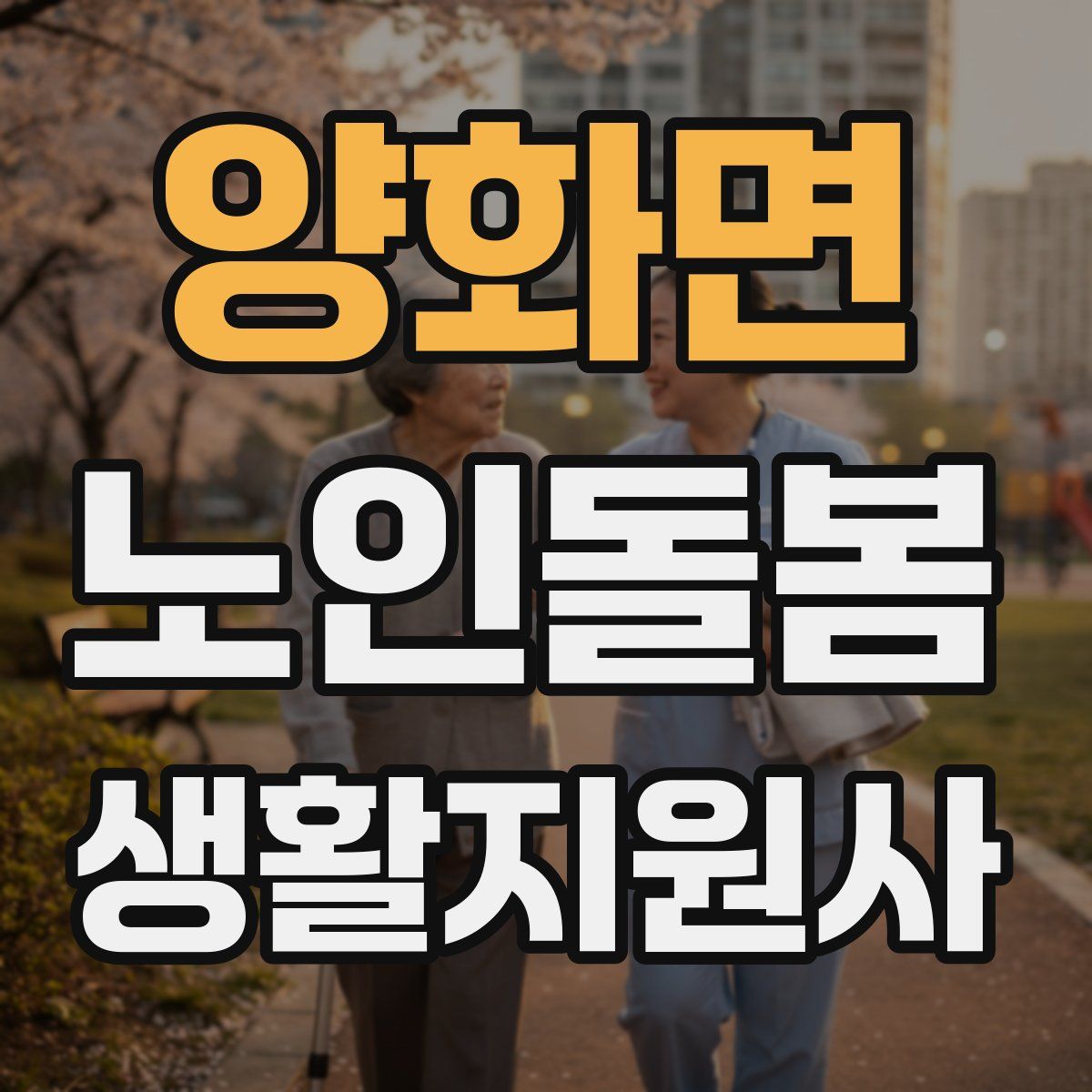 양화면 노인돌봄생활지원사 자격증