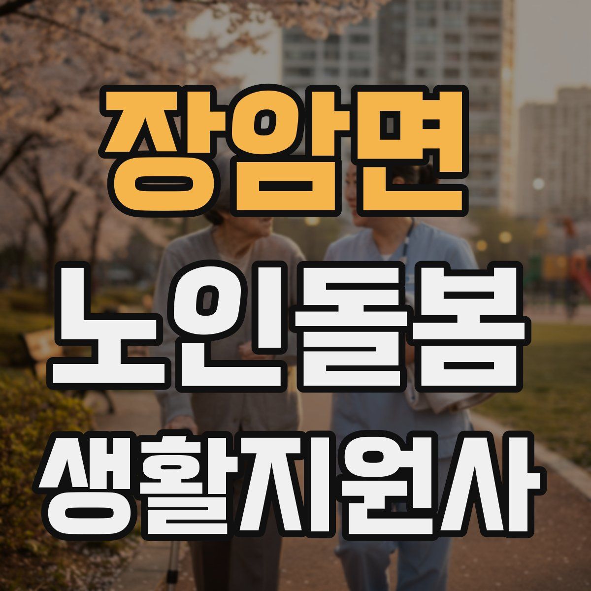 장암면 노인돌봄생활지원사 자격증