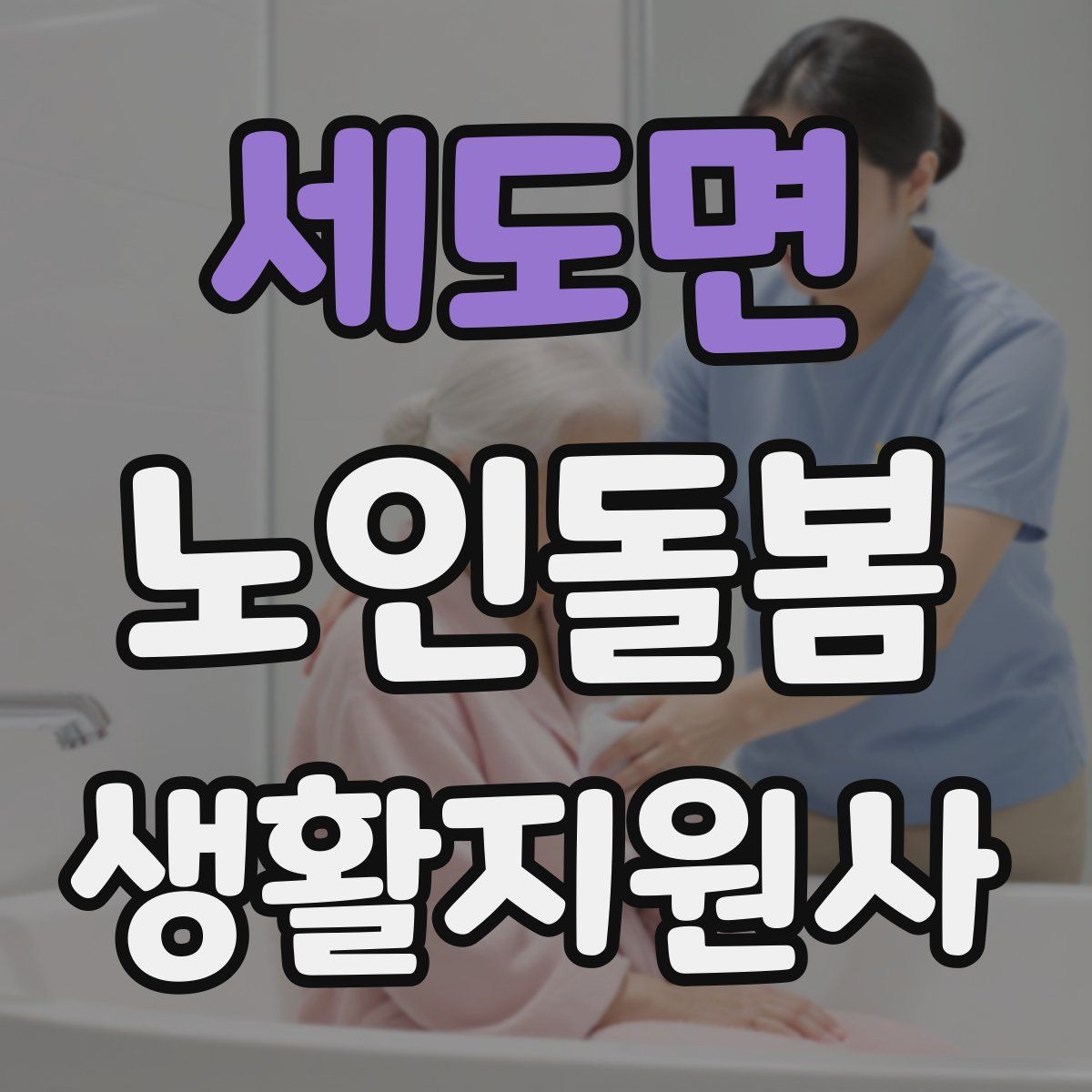 세도면 노인돌봄생활지원사 자격증