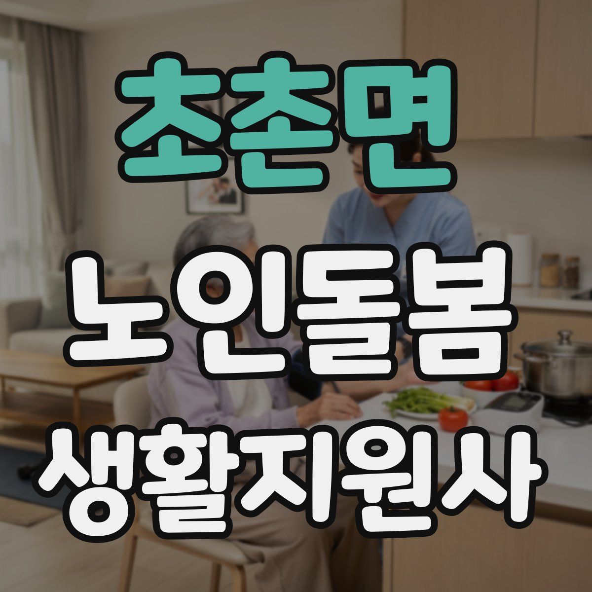 초촌면 노인돌봄생활지원사 자격증