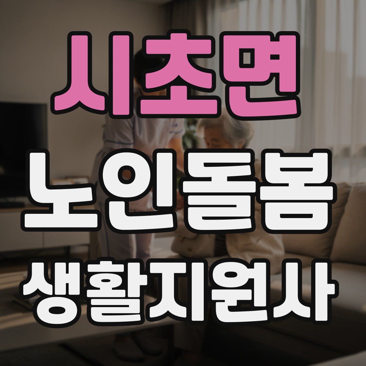 시초면 노인돌봄생활지원사 자격증