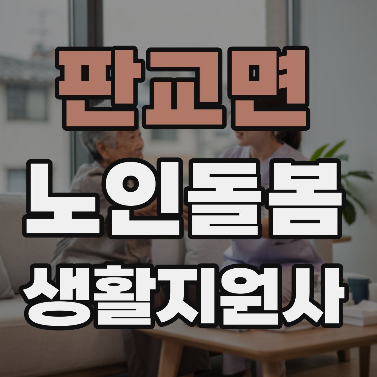 판교면 노인돌봄생활지원사 자격증