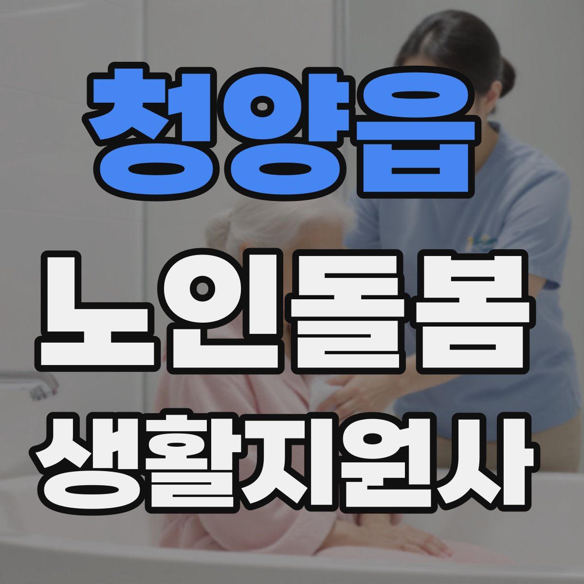 청양읍 노인돌봄생활지원사 자격증