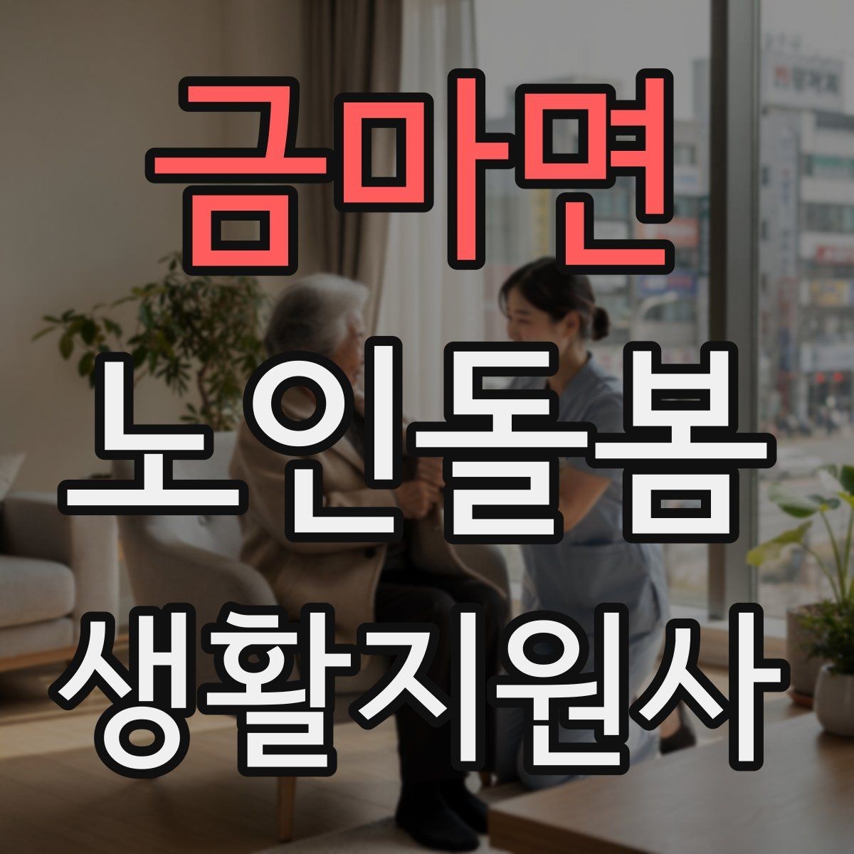 금마면 노인돌봄생활지원사 자격증 초행길 방문 시 동선 체크 포인트