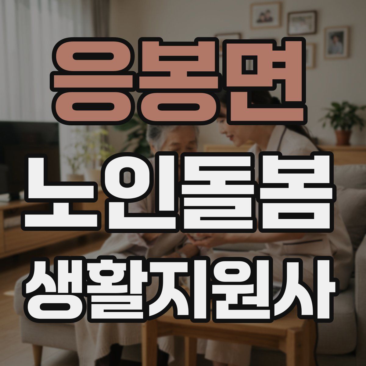 응봉면 노인돌봄생활지원사 자격증