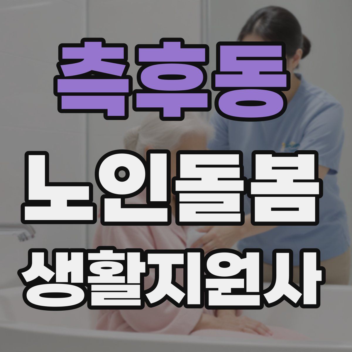 측후동 노인돌봄생활지원사 자격증
