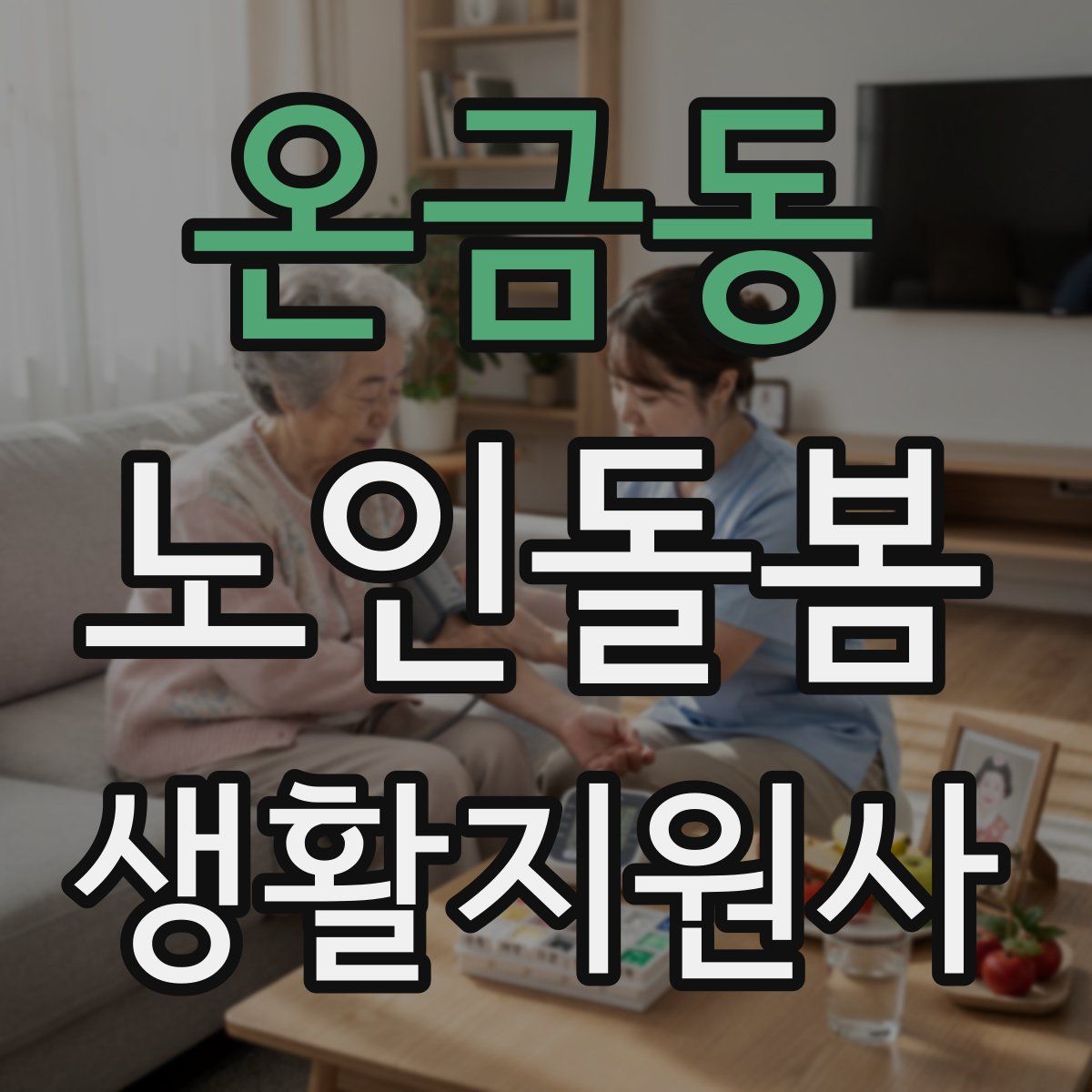 온금동 노인돌봄생활지원사 자격증