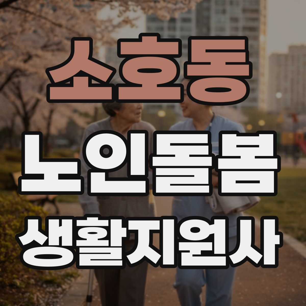 소호동 노인돌봄생활지원사 자격증