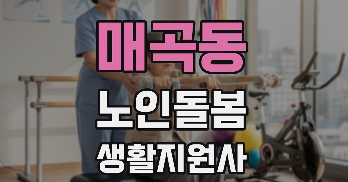 매곡동 노인돌봄생활지원사 자격증