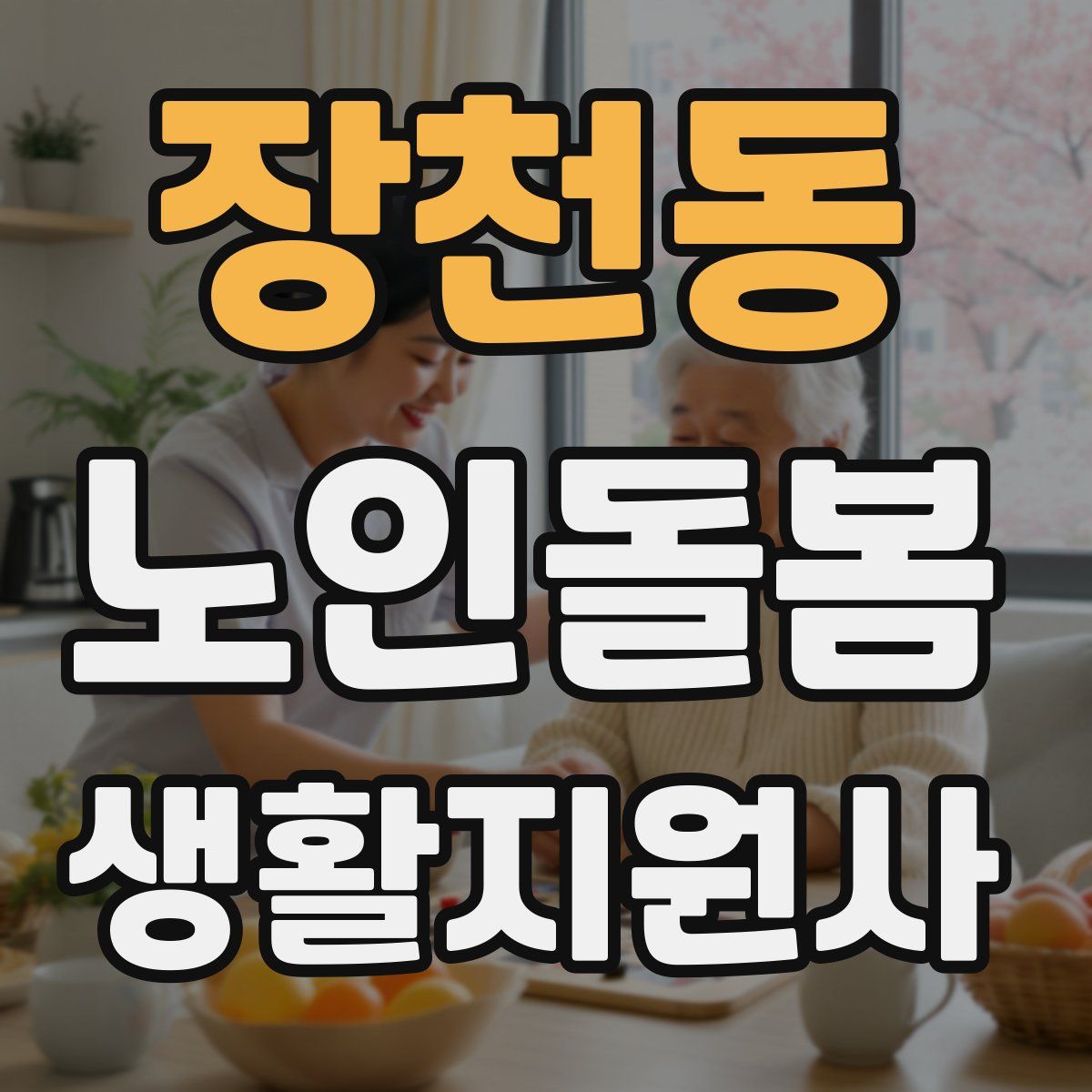 장천동 노인돌봄생활지원사 자격증