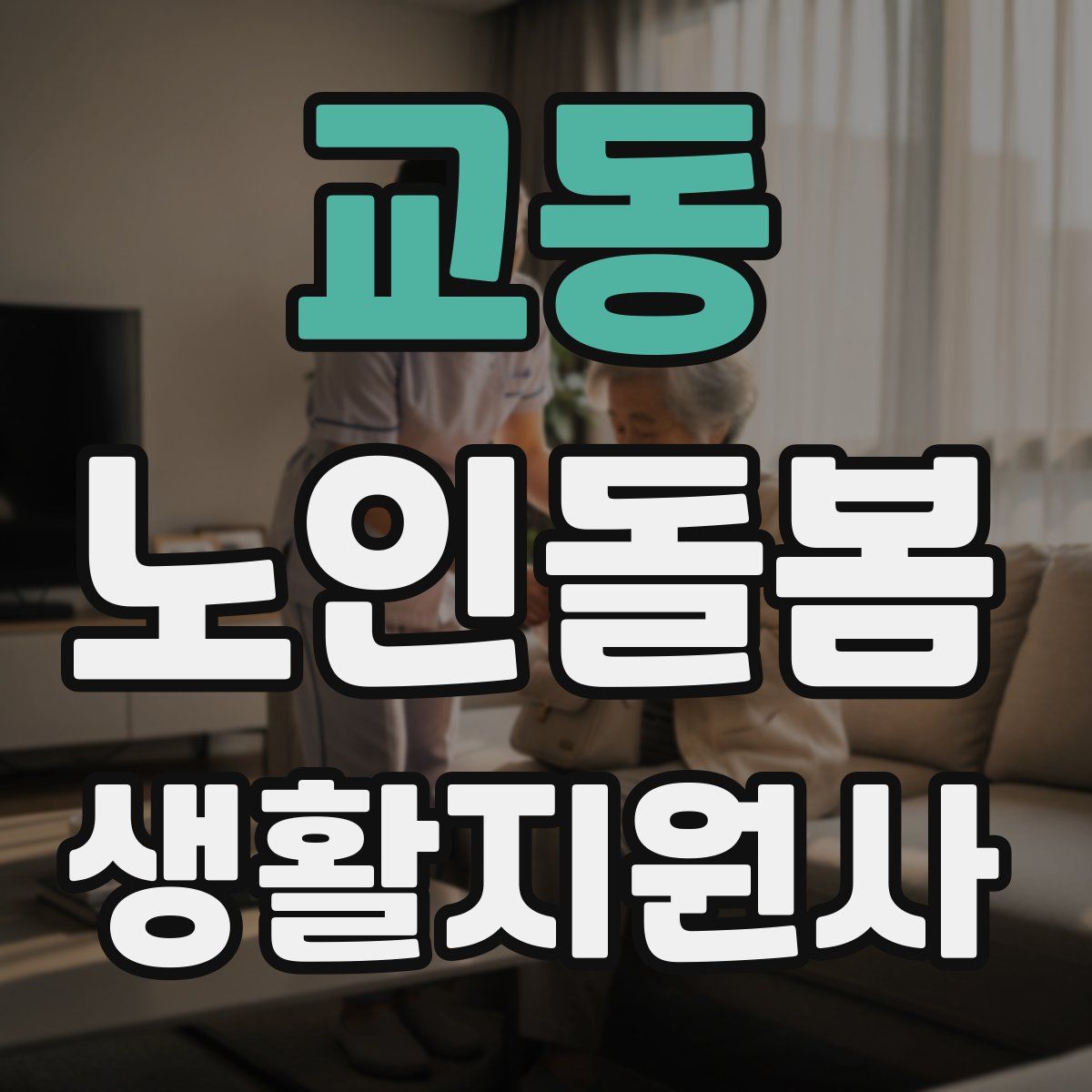 교동 노인돌봄생활지원사 자격증