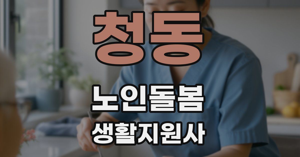 청동 노인돌봄생활지원사 자격증