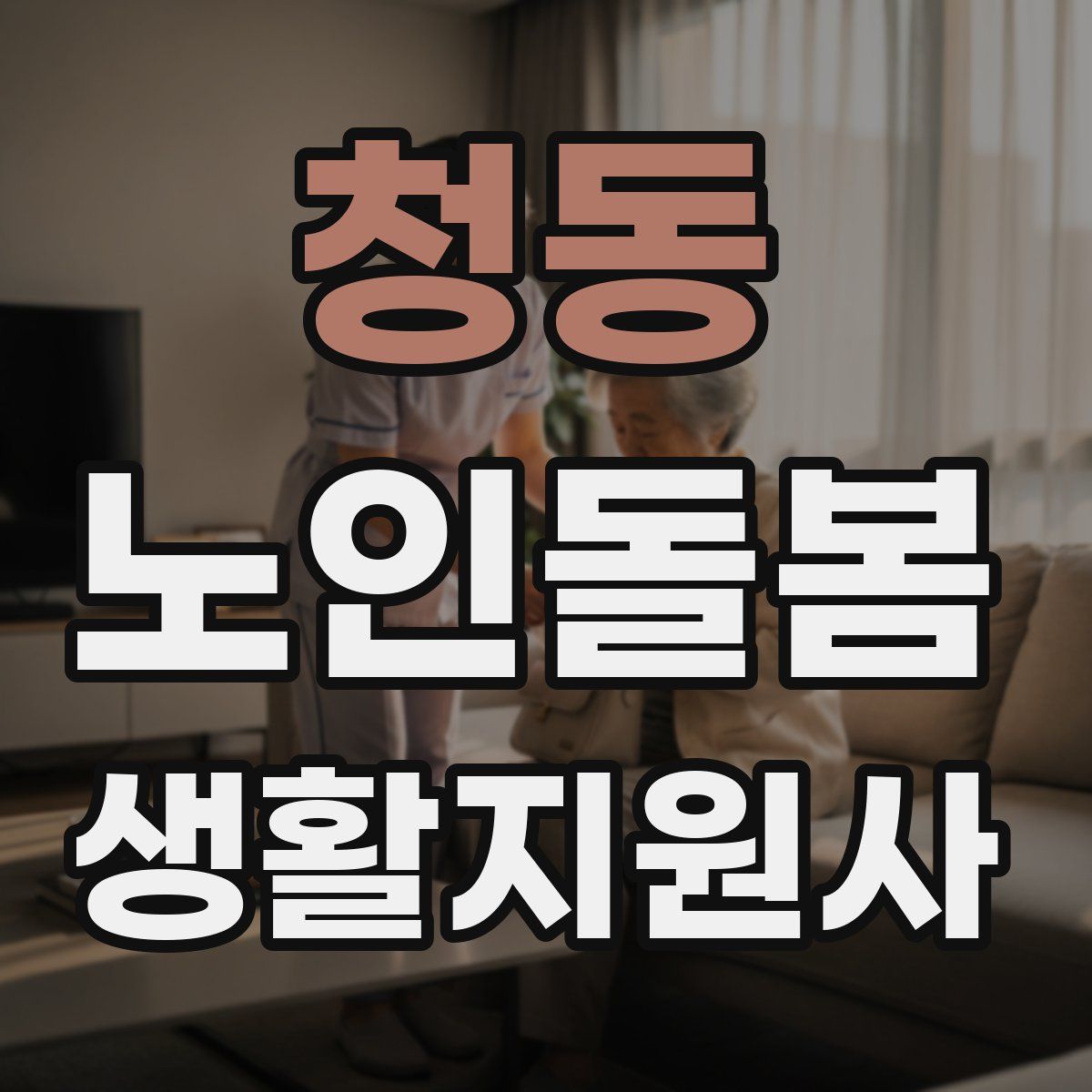 청동 노인돌봄생활지원사 자격증