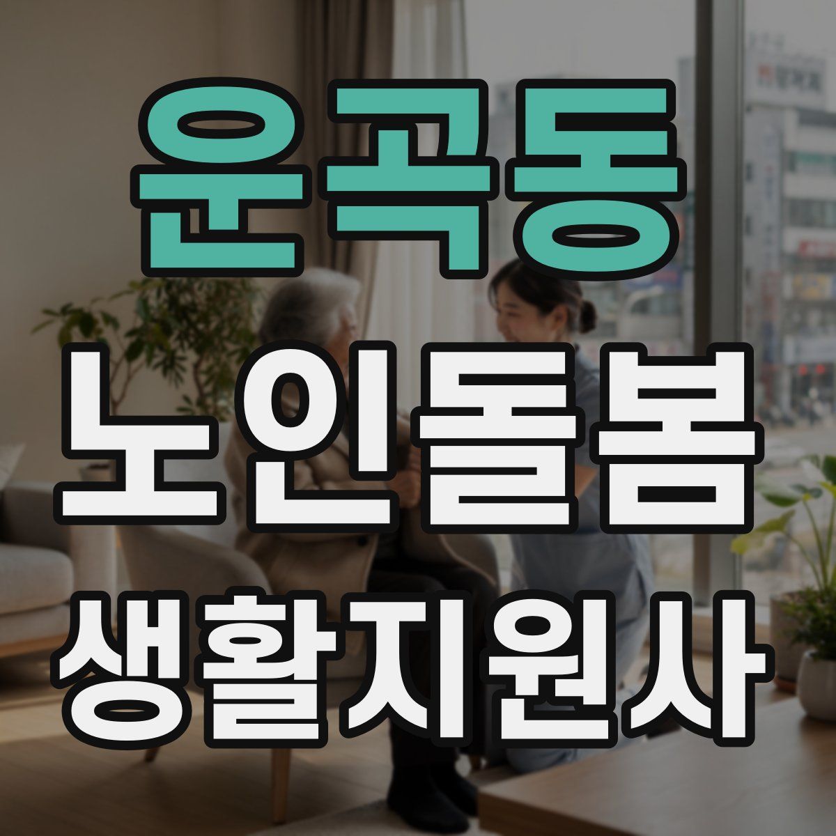운곡동 노인돌봄생활지원사 자격증