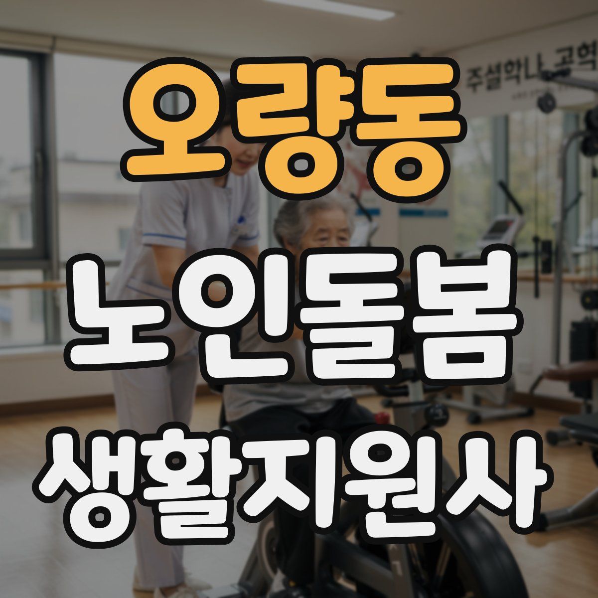 오량동 노인돌봄생활지원사 자격증