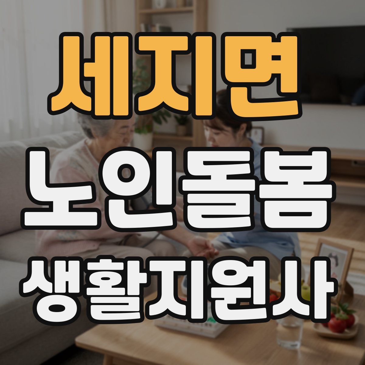 세지면 노인돌봄생활지원사 자격증