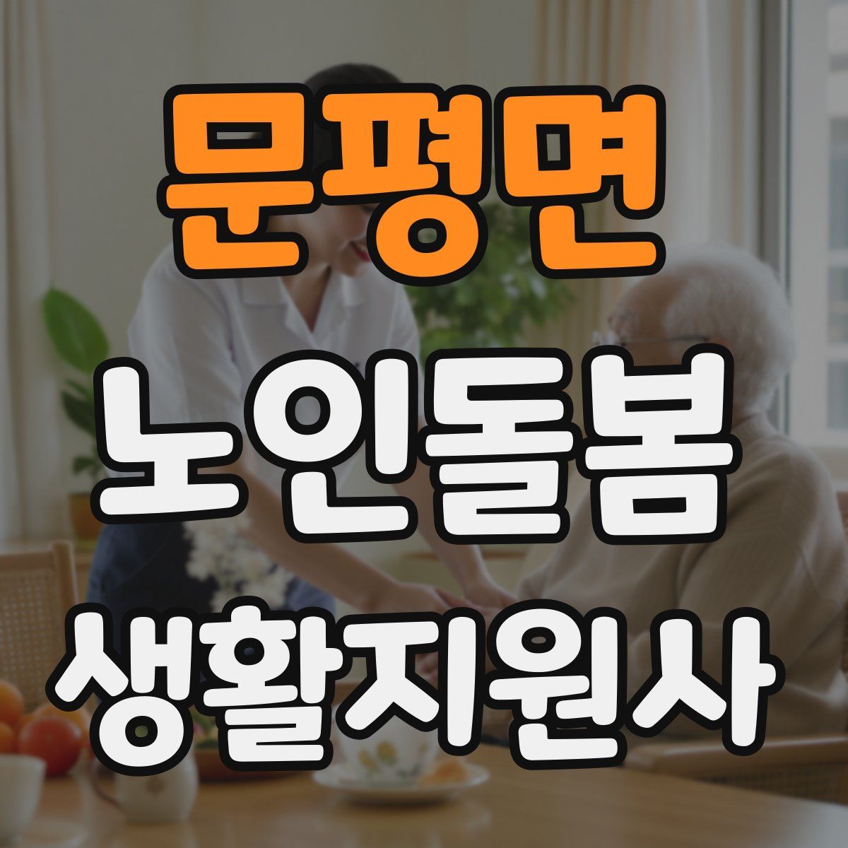 문평면 노인돌봄생활지원사 자격증