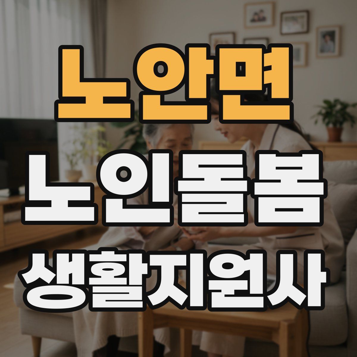 노안면 노인돌봄생활지원사 자격증
