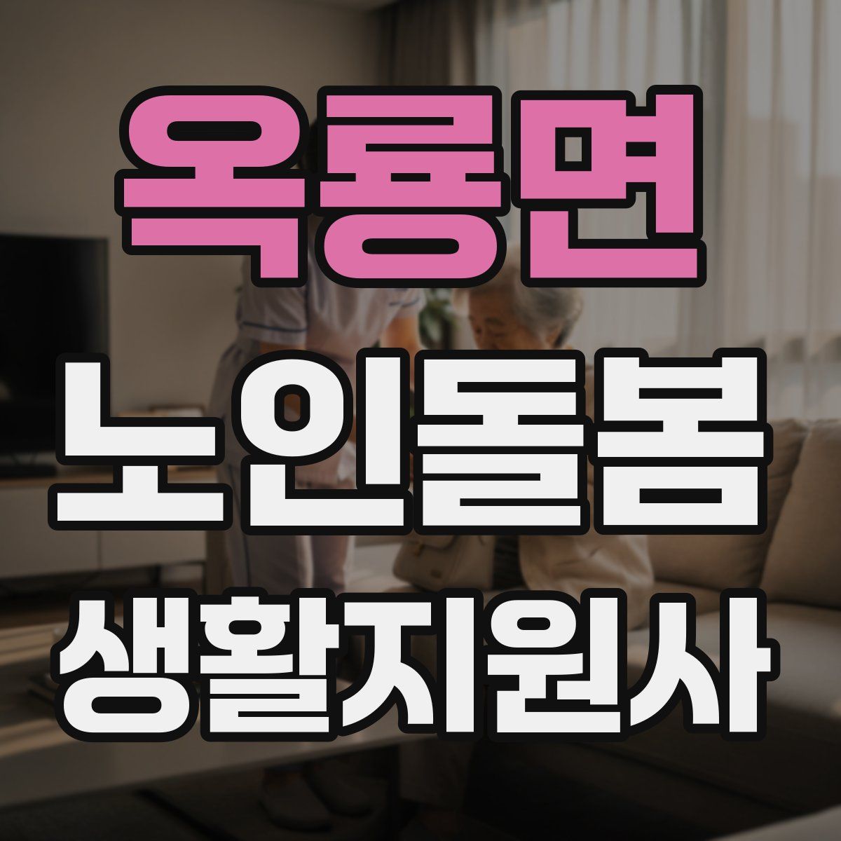 옥룡면 노인돌봄생활지원사 자격증