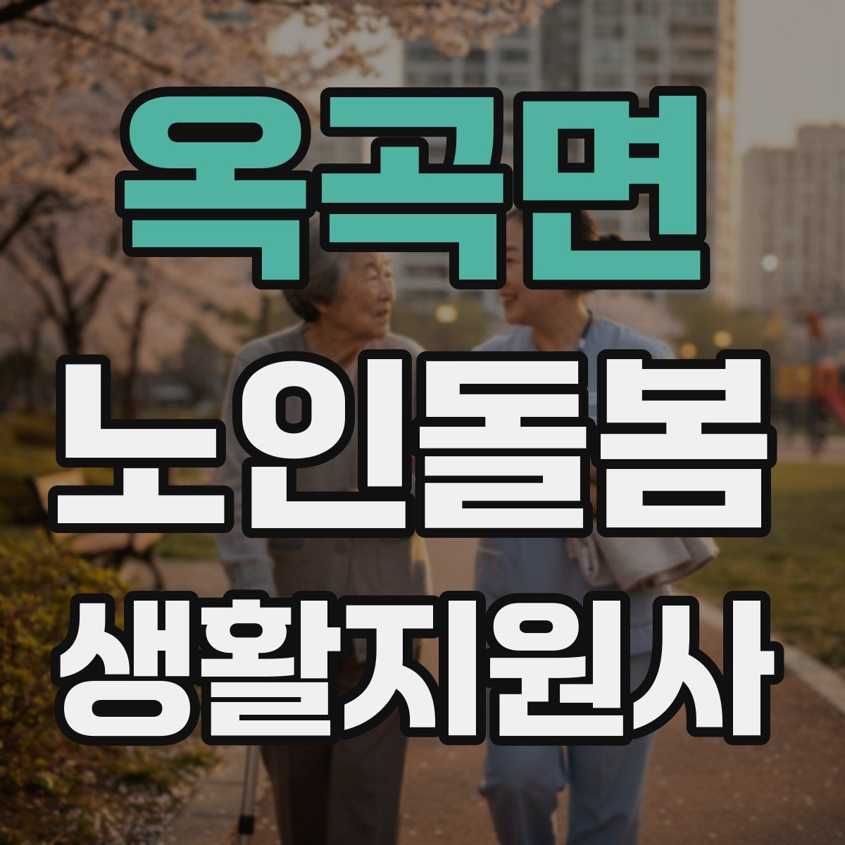 옥곡면 노인돌봄생활지원사 자격증
