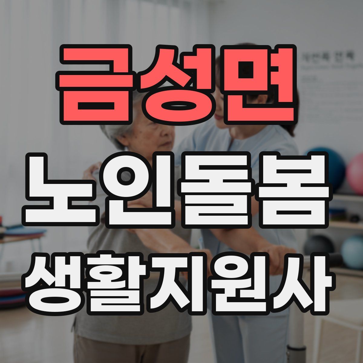 금성면 노인돌봄생활지원사 자격증