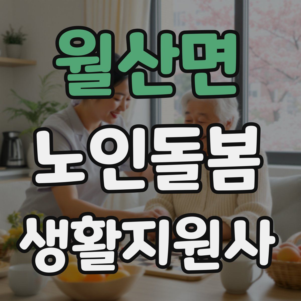 월산면 노인돌봄생활지원사 자격증
