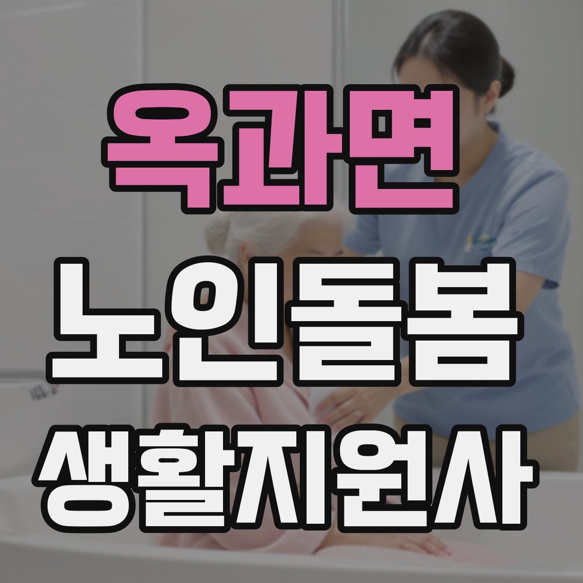 옥과면 노인돌봄생활지원사 자격증