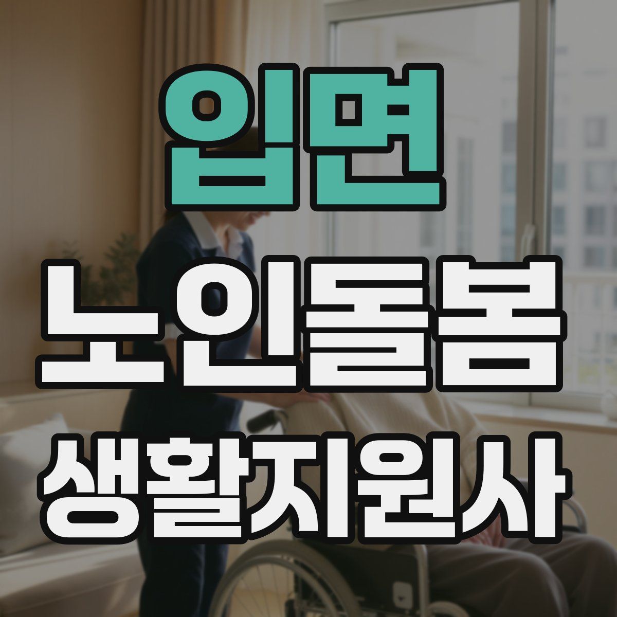 입면 노인돌봄생활지원사 자격증