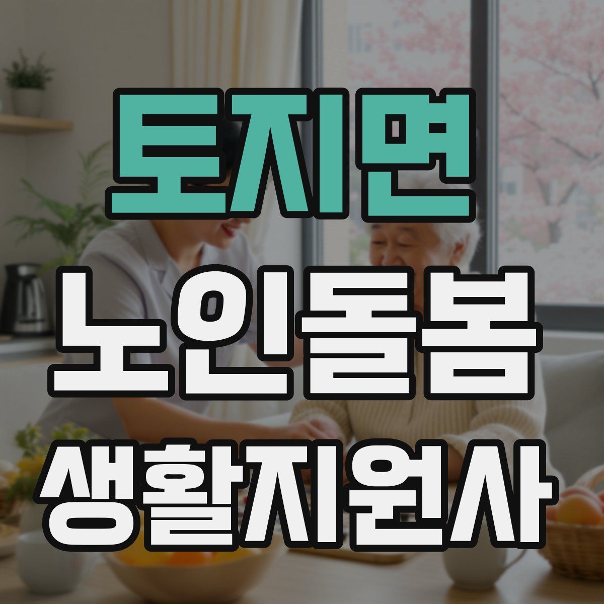 토지면 노인돌봄생활지원사 자격증