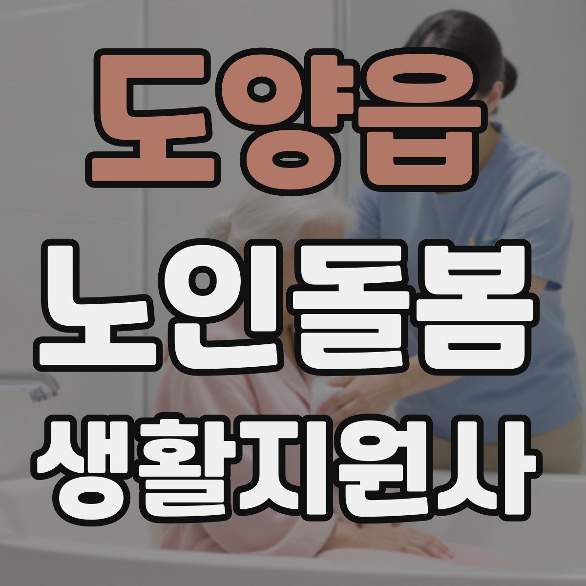 도양읍 노인돌봄생활지원사 자격증