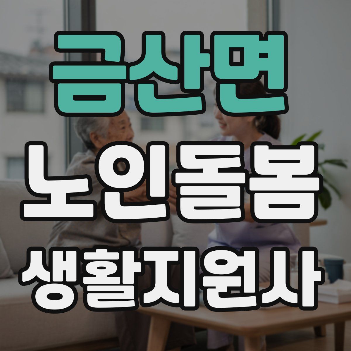 금산면 노인돌봄생활지원사 자격증