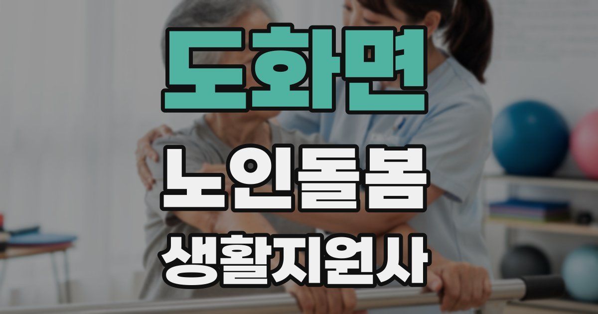 도화면 노인돌봄생활지원사 자격증