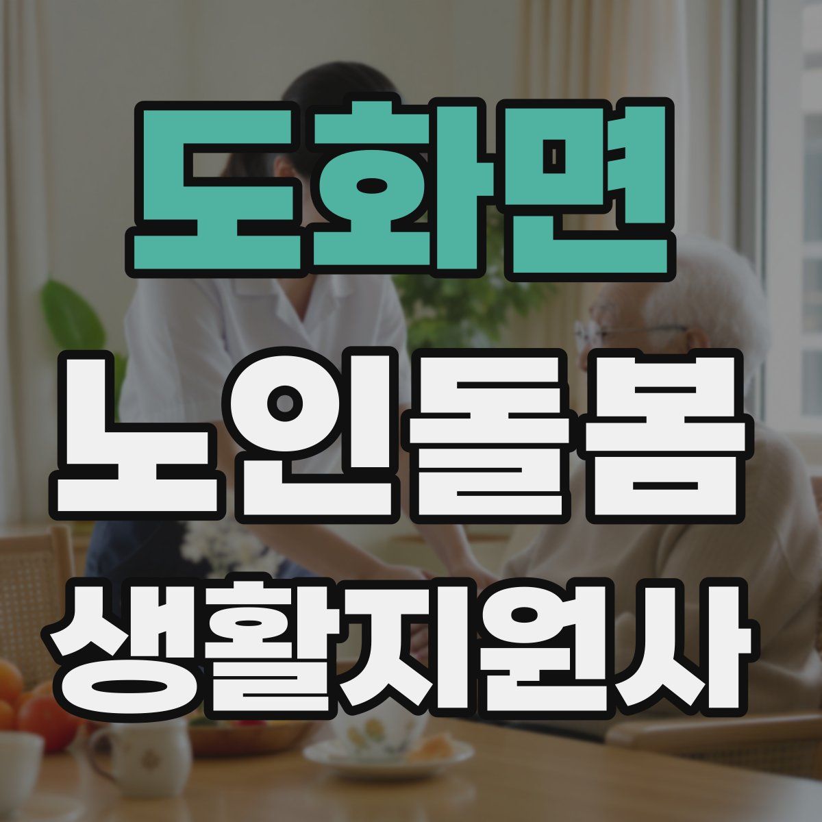 도화면 노인돌봄생활지원사 자격증