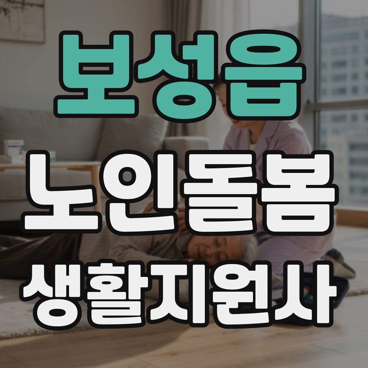보성읍 노인돌봄생활지원사 자격증