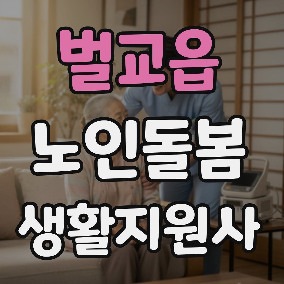 벌교읍 노인돌봄생활지원사 자격증