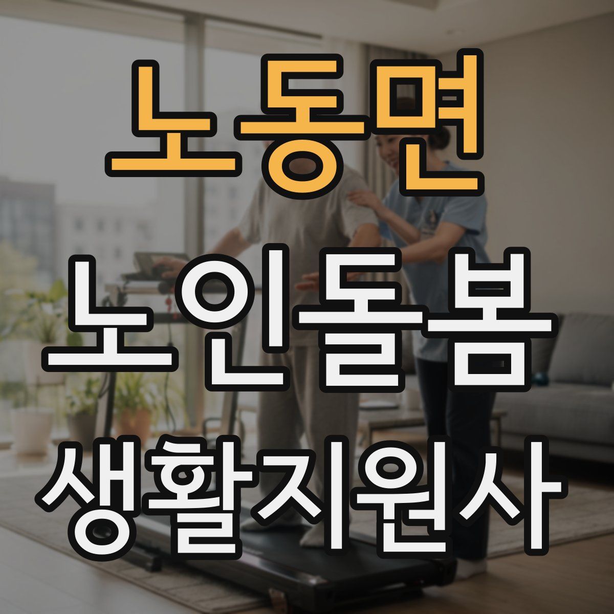 노동면 노인돌봄생활지원사 자격증