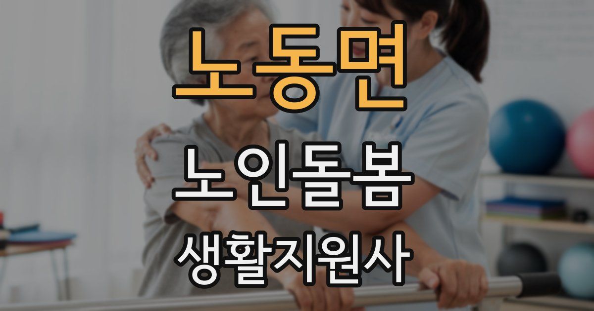 노동면 노인돌봄생활지원사 자격증