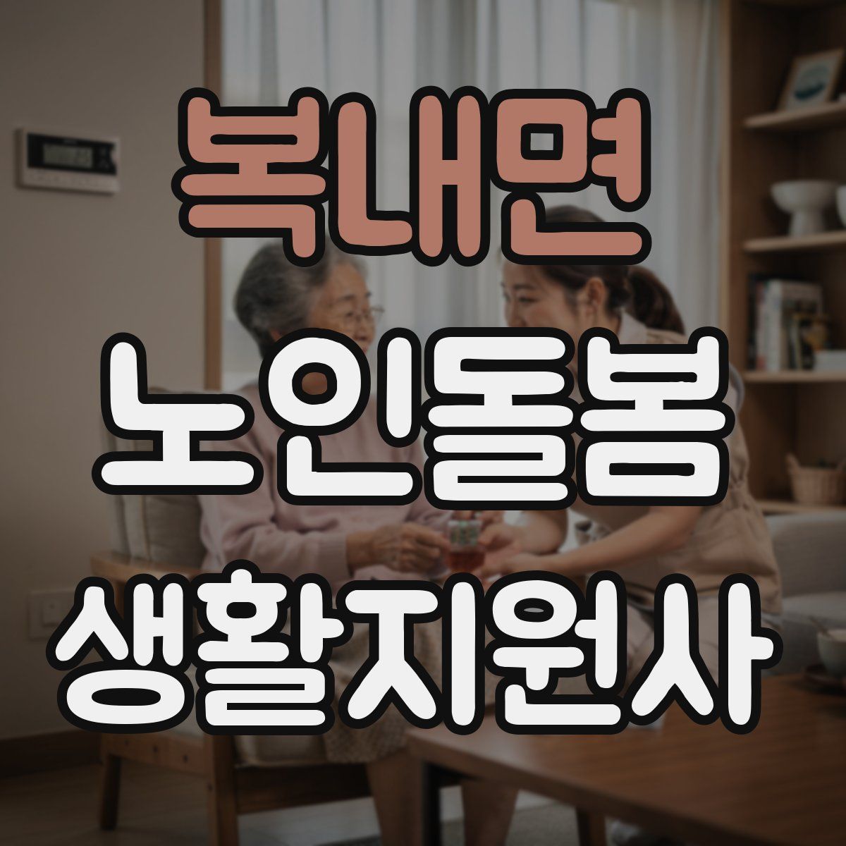복내면 노인돌봄생활지원사 자격증