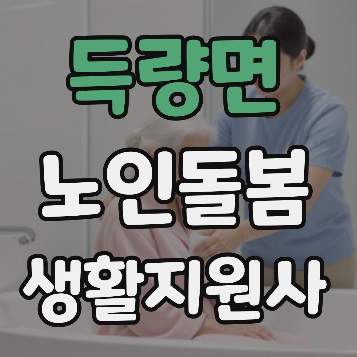 득량면 노인돌봄생활지원사 자격증