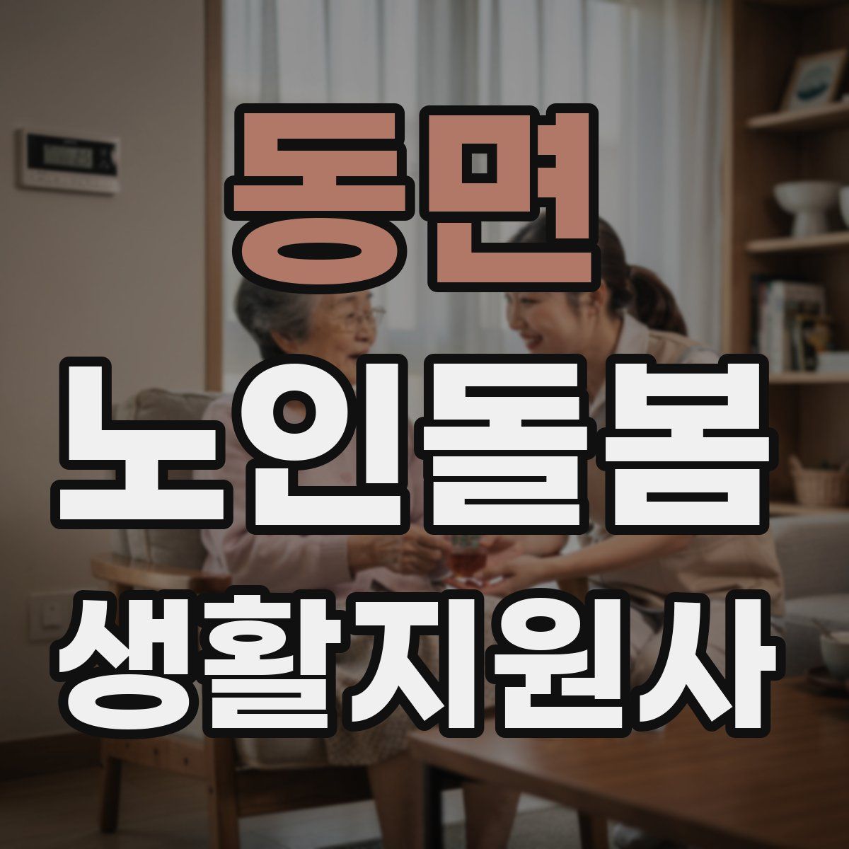 동면 노인돌봄생활지원사 자격증