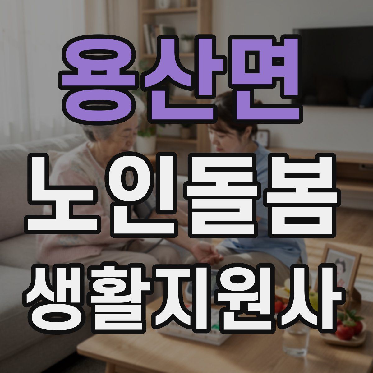 용산면 노인돌봄생활지원사 자격증