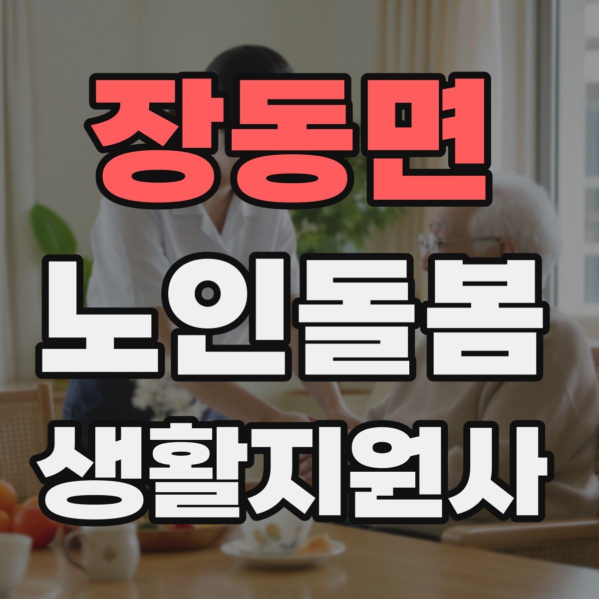 장동면 노인돌봄생활지원사 자격증