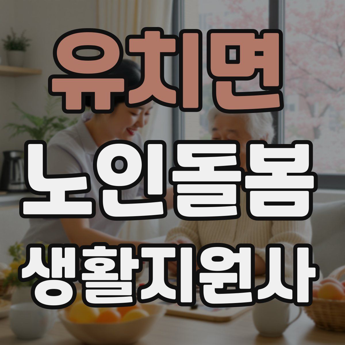 유치면 노인돌봄생활지원사 자격증