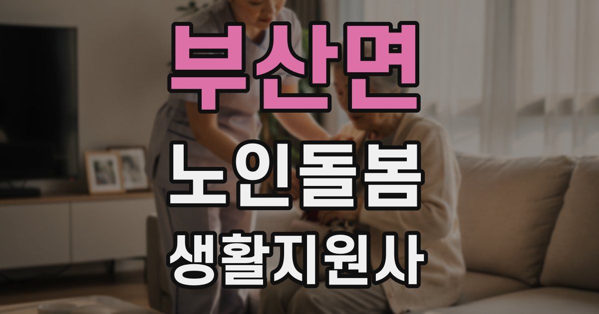 부산면 노인돌봄생활지원사 자격증