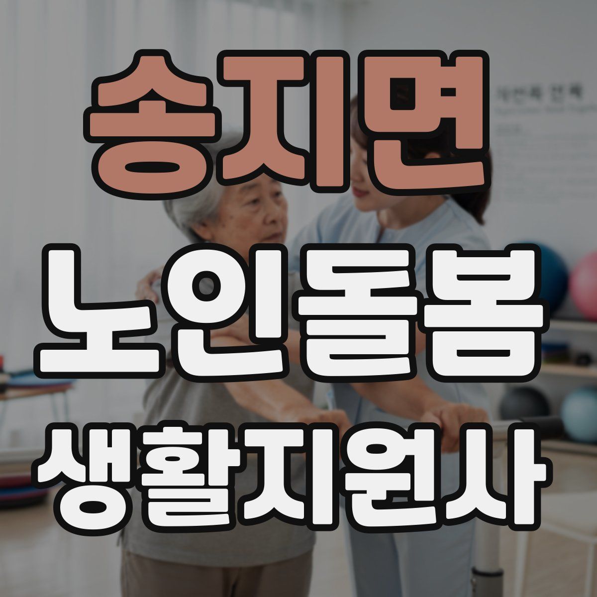 송지면 노인돌봄생활지원사 자격증